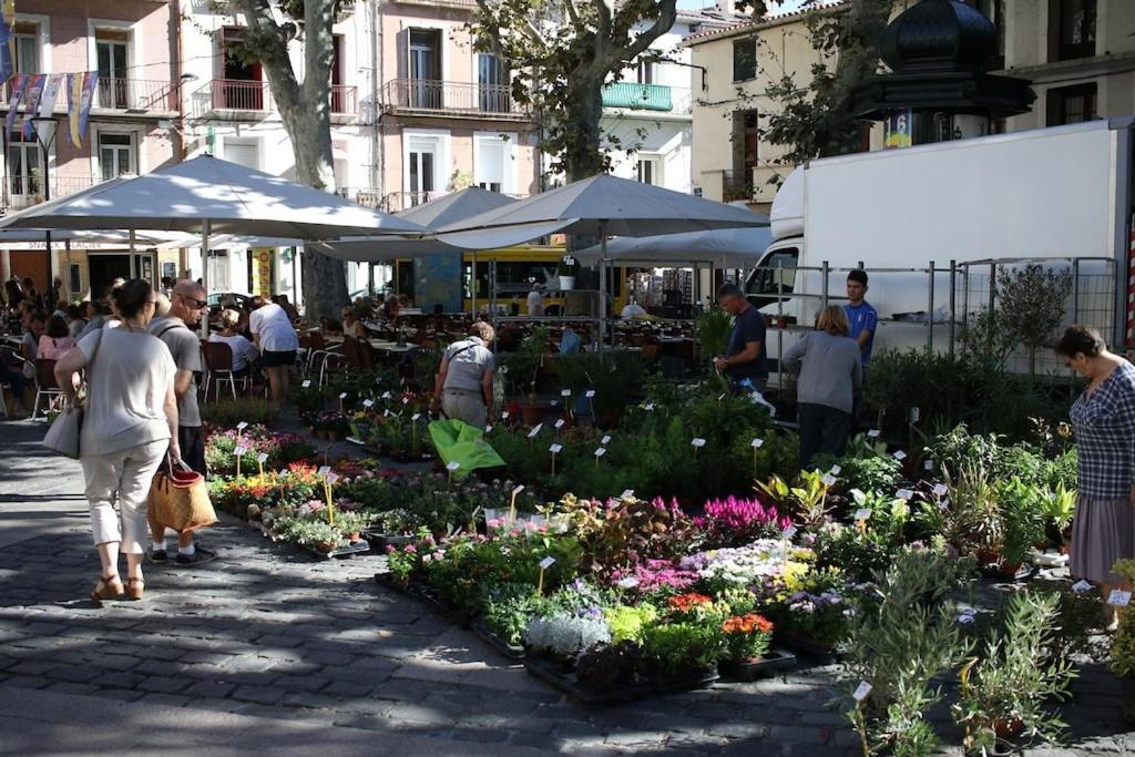 Appartamento Hidden Gem Ancré Au Cœur De Sète&Vue Sur Mont St Clair Esterno foto